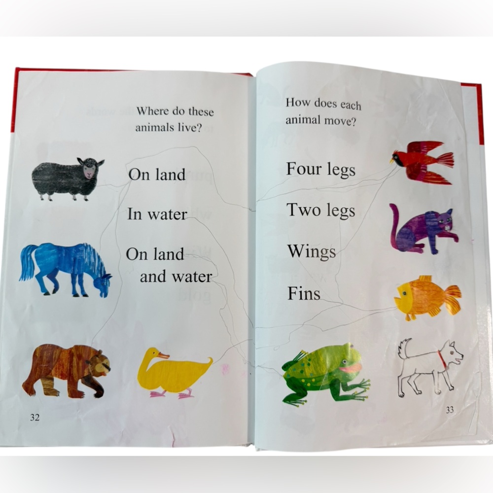 Kids Book Bundle Eric Carle Brown Bear + Bilingual Let’s Go to the Zoo - Picture 7 of 12